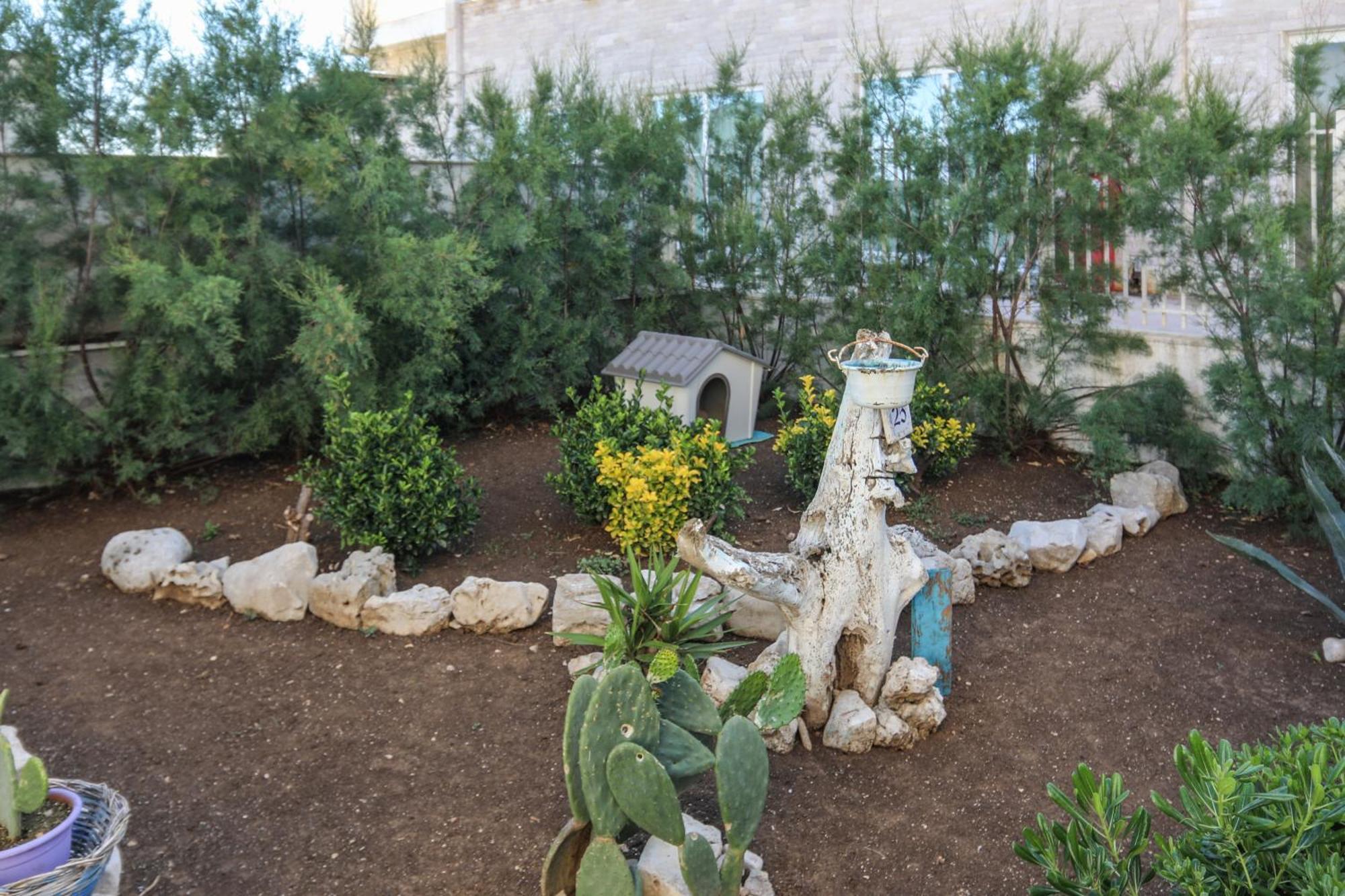 ジョヴィナッツォ Ventana Del Mar Bed & Breakfast エクステリア 写真